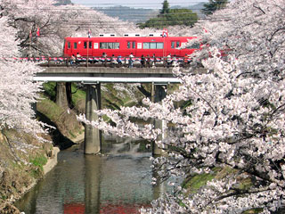 �u�V����̍����؁v�򕌌��e�����s