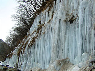 �u����X���Q�v���쌧�ؑ]��