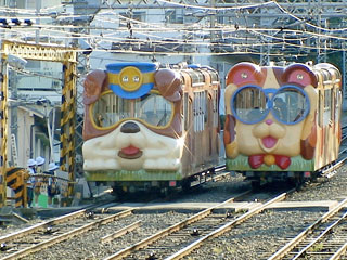 �u����P�[�u���v�ޗǌ�����s