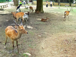 �ޗǌ����u�ޗǂ̎��v�ޗǌ��ޗǎs