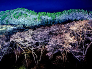 ����������u���}�U�N���v�ޗǌ��]����