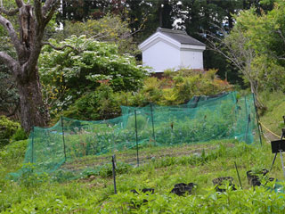 �u�X�싌�򉀁v�ޗǌ��F�Ɏs