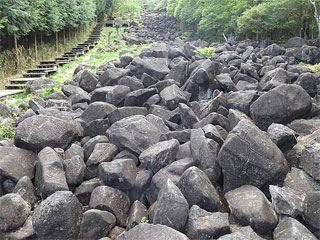 �t�H���X�g�p�[�N�_��R�u��q�k�v�ޗǌ��R�Y��