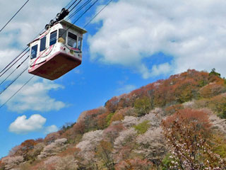 �g�샍�[�v�E�F�C�v�ޗǌ��g�쒬