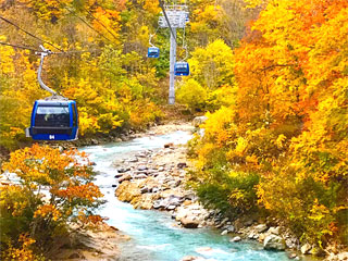 �u�c��h���S���h���v�V��������