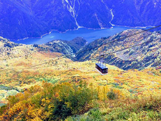 ���R�����A���y�����[�g�u���R���[�v�E�F�C�v�x�R�����R��